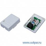 Розетка 1хRJ-45 8P8C (WT-2012)