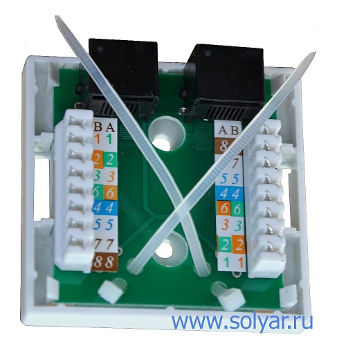 Розетка 2хRJ-45 8P8C (WT-2015)